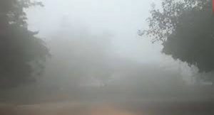 कोहरे से मिली लोगो को राहत लेकिन इस तारीख से बड़ सकती है ठंड