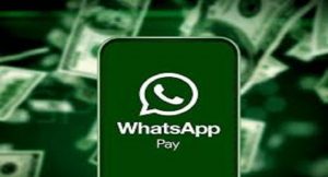 WhatsApp Pay भारत में चार प्रमुख किन बैंकों के साथ हुआ लाइव शुरू हुई यह पेमेंट सर्विस