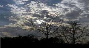 पूर्वांचल के मौसम मे उतार चढ़ाव होने से लोगो की सेहत संबंधी दुश्‍वारियां भी हुई आम