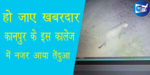 हो जाएं खबरदार कानपुर शहर में घुस आया तेंदुआ, जानिए किस कालेज आया नजर