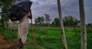 बरेली: मौसम विभाग ने बारिश के साथ किसानों के लिए जारी की एडवाइजरी
