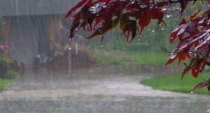 यूपी में रातभर हुई बारिश, आज भी जारी रहेगा सिलसिला, कई जिलों में ओले भी गिरेंगे