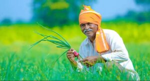 दिवाली से पहले सरकार ने किसानों को दिया तोहफा, कैबिनेट ने दी खाद सब्सिडी को मंजूरी