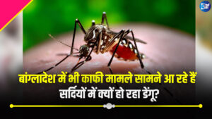बांग्लादेश में भी काफी मामले सामने आ रहे हैं सर्दियों में क्यों हो रहा डेंगू?