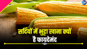 सर्दियों में भुट्टा खाना क्यों है फायदेमंद, जानिए इसके पीछे का साइंटिफिक रिजन