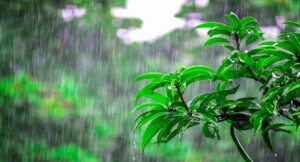 UP में मौसम का बदलता रहेगा मिजाज..कहीं चिलचिलाती धूप तो कहीं बारिश, इस सप्ताह तक बना रहेगा ऐसा मौसम